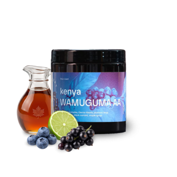 Kenya WAMUGUMA AA - Concept