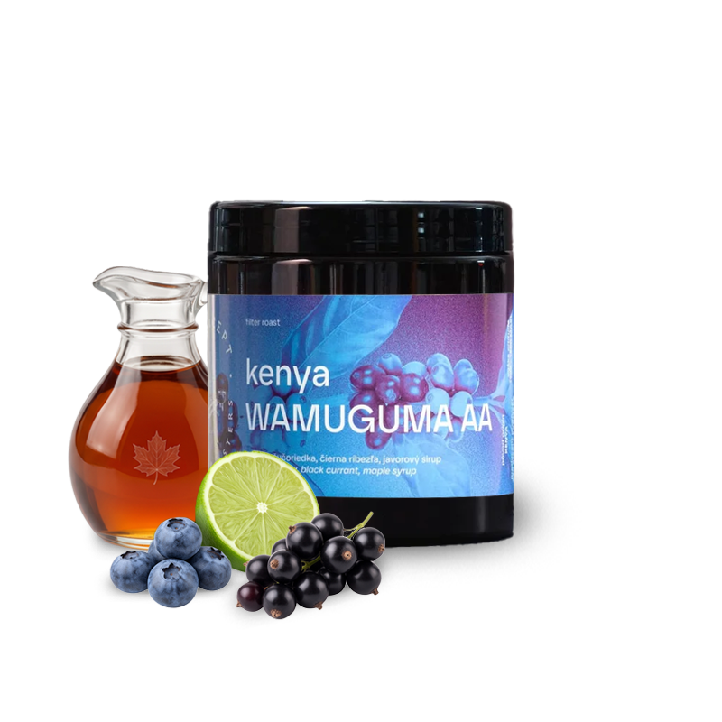 Specialty coffee Concept Coffee Roasters Kenya WAMUGUMA AA