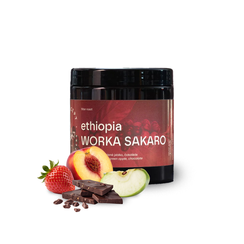 Specialty coffee Concept Coffee Roasters Ethiopia WORKA SAKARO