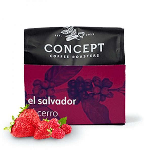 Specialty coffee Concept Coffee Roasters El Salvador EL CERRO