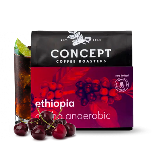 Specialty coffee Concept Coffee Roasters Ethiopia ARICHA - anaerobic