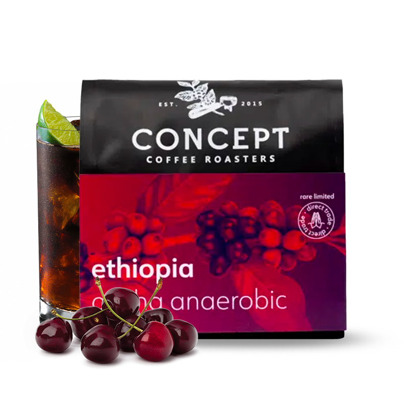 Specialty coffee Concept Coffee Roasters Ethiopia ARICHA - anaerobic