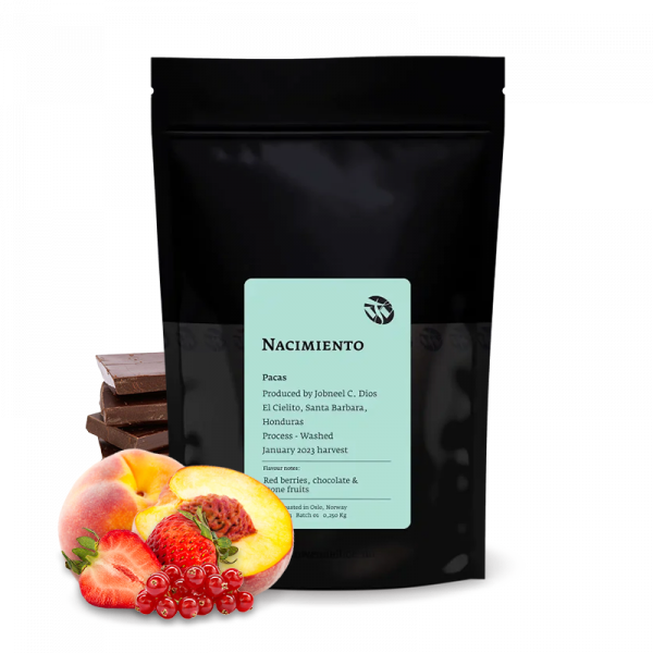 Specialty coffee Tim Wendelboe Honduras NACIMIENTO PACAS - 6/24