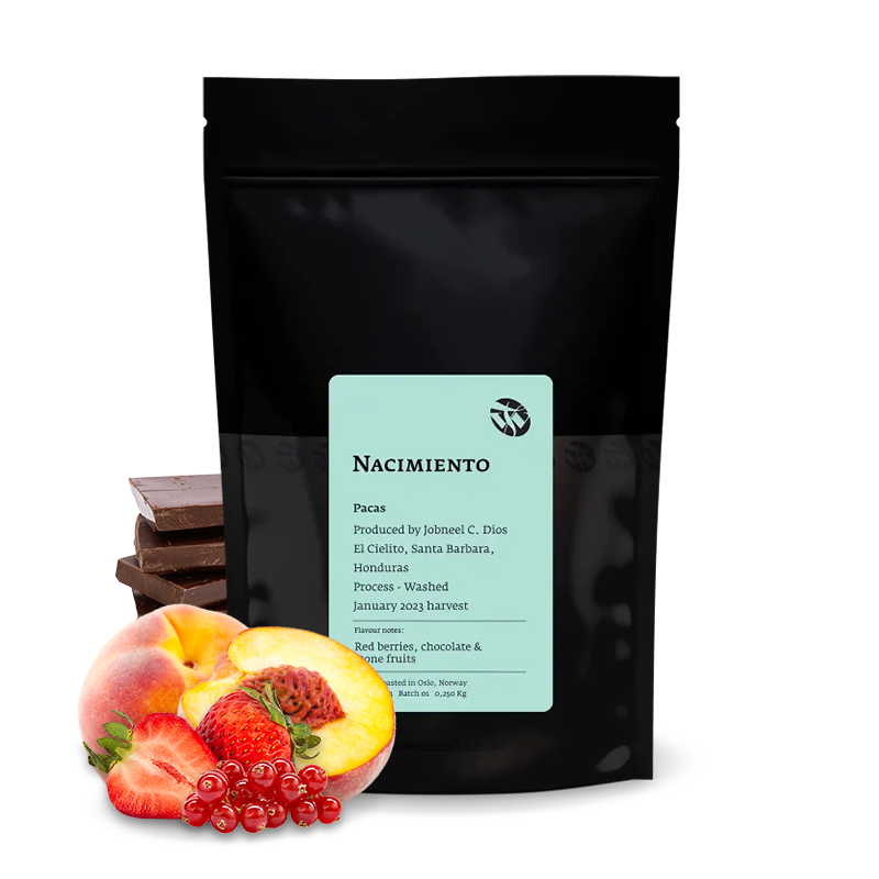Specialty coffee Tim Wendelboe Honduras NACIMIENTO PACAS - 6/24