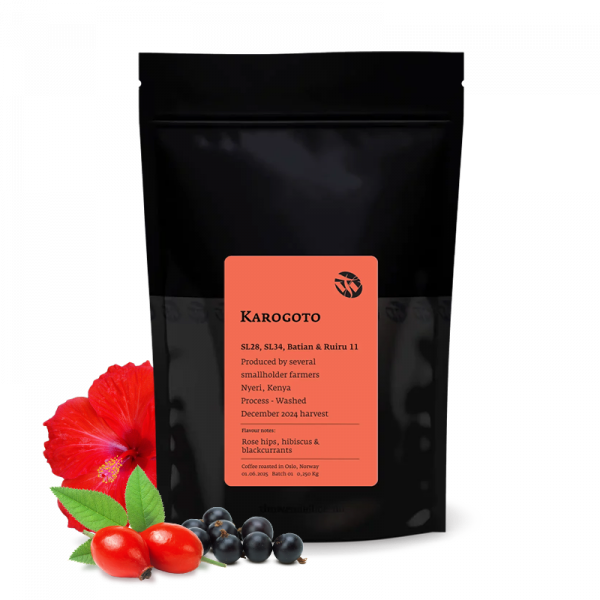 Specialty coffee Tim Wendelboe Kenya KAROGOTO