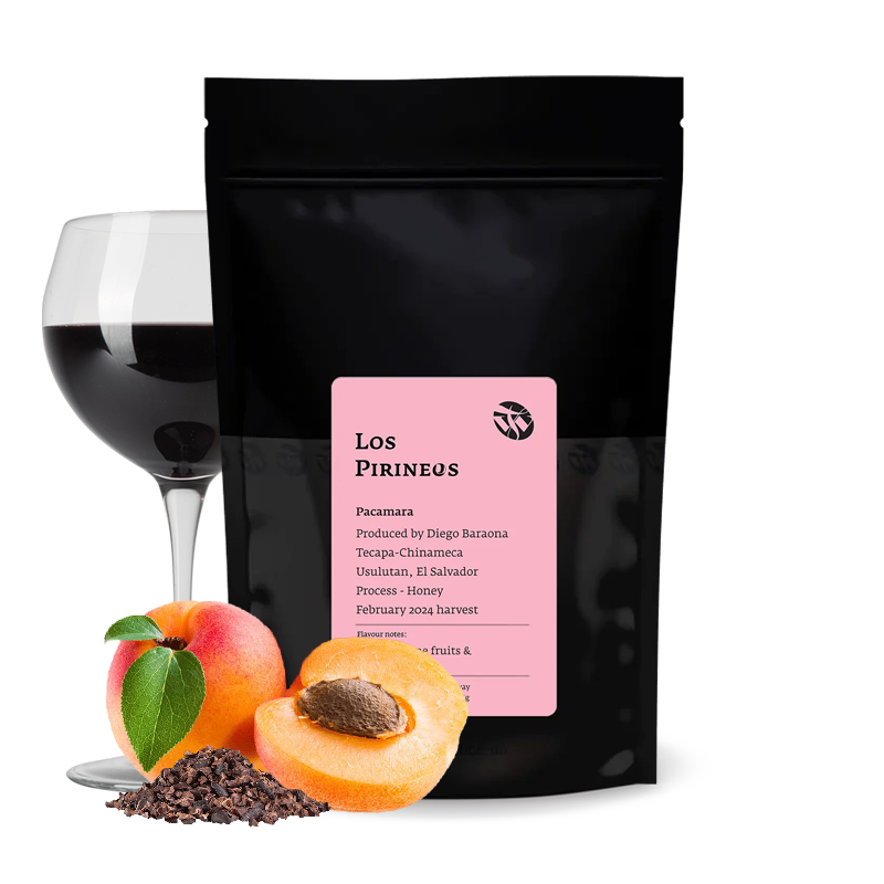 Specialty coffee Tim Wendelboe El Salvador LOS PIRINEOS  - pacamara