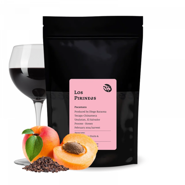 Specialty coffee Tim Wendelboe El Salvador LOS PIRINEOS  - pacamara