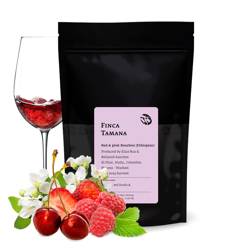 Specialty coffee Tim Wendelboe Colombia FINCA TAMANA - bourbon