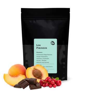 El Salvador LOS PIRINEOS - Pacamara - Tim Wendelboe