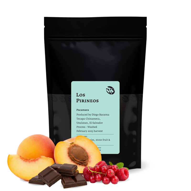 Specialty coffee Tim Wendelboe El Salvador LOS PIRINEOS - Pacamara