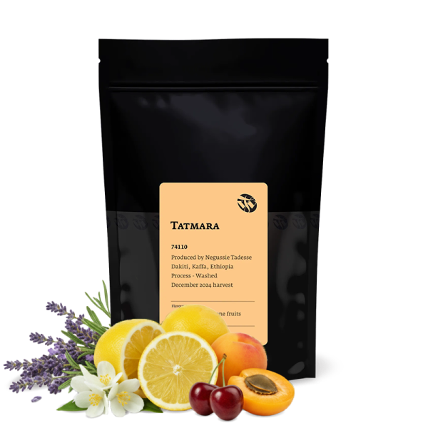 Specialty coffee Tim Wendelboe Ethiopia TATMARA