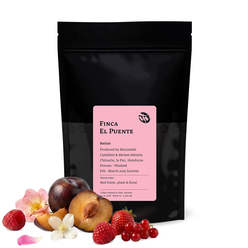 Specialty coffee Tim Wendelboe Honduras FINCA EL PUENTE BATIAN