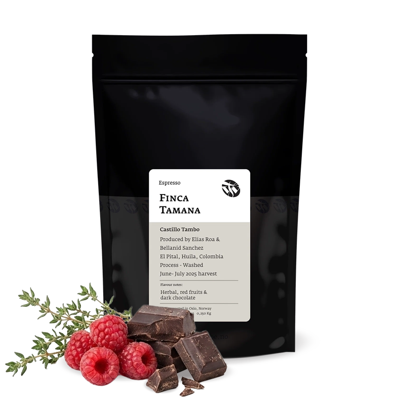 Specialty coffee Tim Wendelboe Colombia FINCA TAMANA CASTILLO