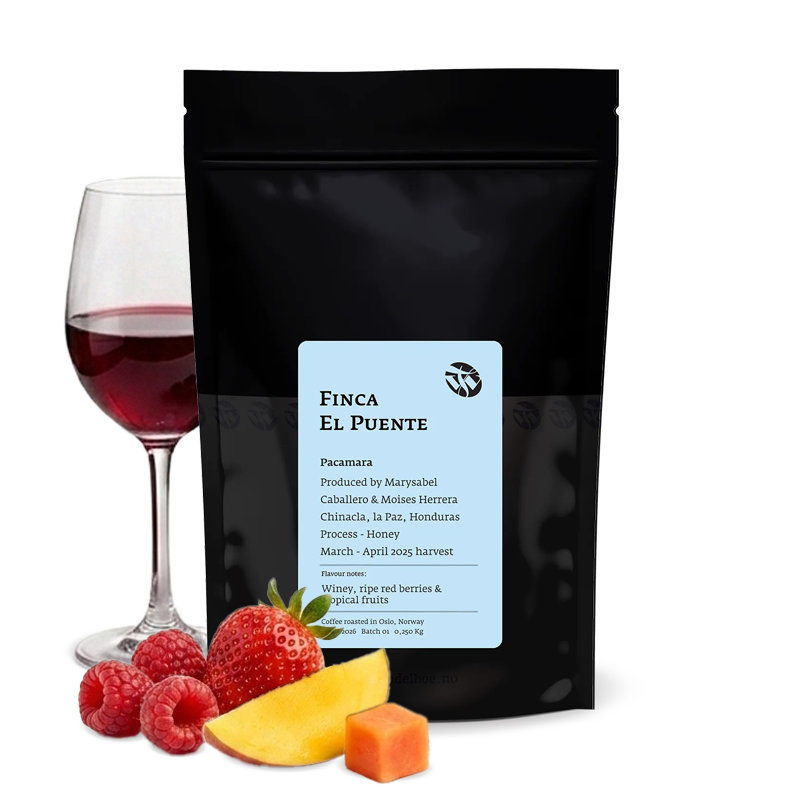 Specialty coffee Tim Wendelboe Honduras FINCA EL PUENTE PACAMARA