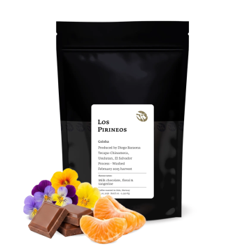 El Salvador LOS PIRINEOS - Geisha - Tim Wendelboe