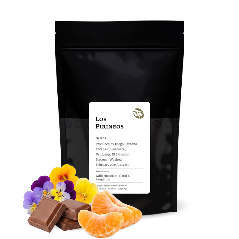 Specialty coffee Tim Wendelboe El Salvador LOS PIRINEOS - Geisha