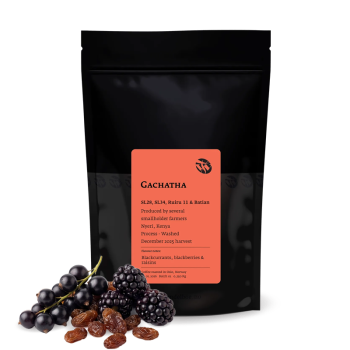 Kenya GACHATHA - Tim Wendelboe