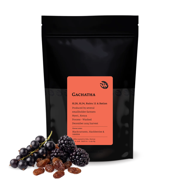 Specialty coffee Tim Wendelboe Kenya GACHATHA