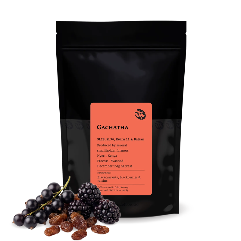 Specialty coffee Tim Wendelboe Kenya GACHATHA
