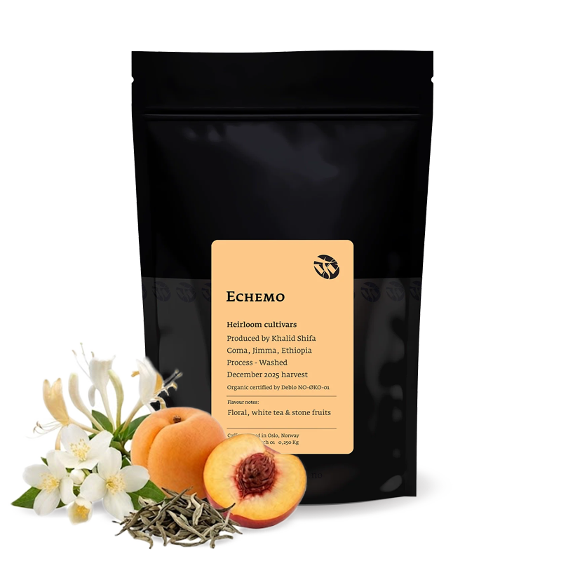 Specialty coffee Tim Wendelboe Ethiopia ECHEMO