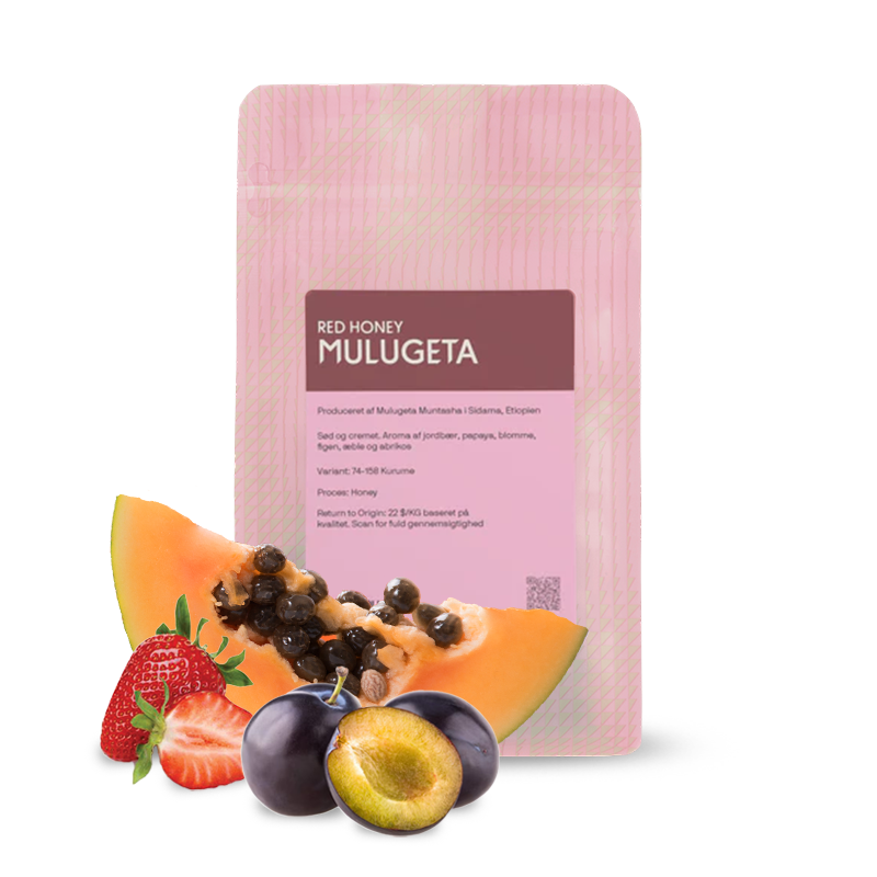 Specialty coffee Coffee Collective Ethiopia MULUGETA RED HONEY - 200g