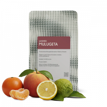 Ethiopia MULUGETA WASHED - The Coffee Collective