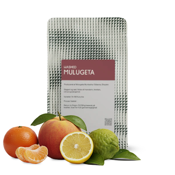 Specialty coffee The Coffee Collective Ethiopia MULUGETA WASHED