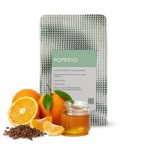Specialty coffee The Coffee Collective Guatemala POMPEYO GESHA