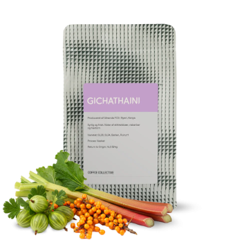 Kenya GICHATHAINI - The Coffee Collective