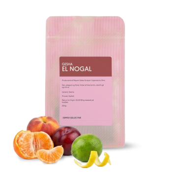 Peru EL NOGAL - Geisha 200g - The Coffee Collective