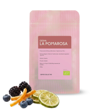 Peru LAPOMAROSA GESHA - The Coffee Collective