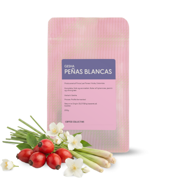 Colombia PEÑAS BLANCAS - Gesha - 200 g - The Coffee Collective