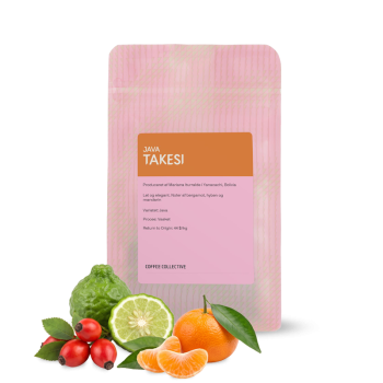Bolivia TAKESI JAVA - 200 g - Coffee Collective