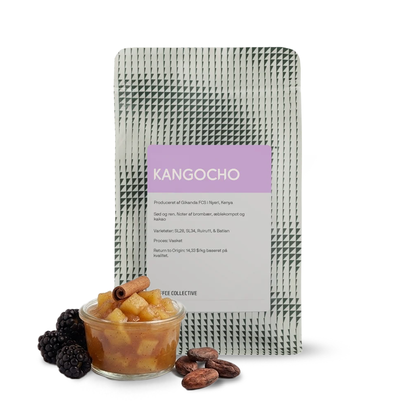 Specialty coffee Coffee Collective Kenya KANGOCHO