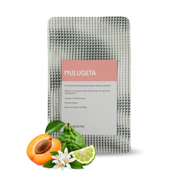 Ethiopia MULUGETA - Coffee Collective