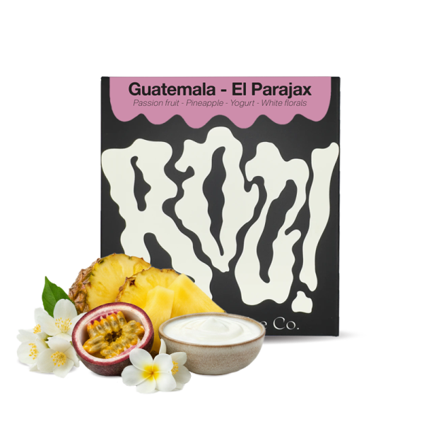 Specialty coffee Boo! Guatemala EL PARAJAX