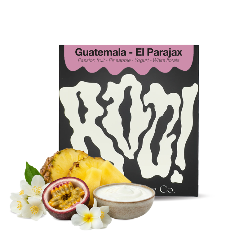 Specialty coffee Boo! Guatemala EL PARAJAX