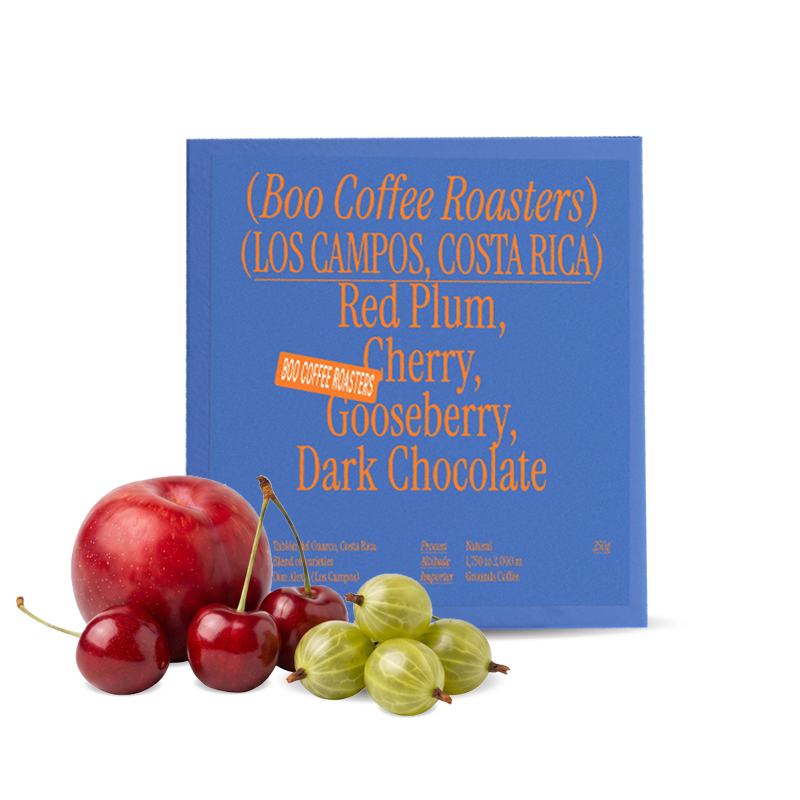 Specialty coffee Boo! Costa Rica LOS CAMPOS 