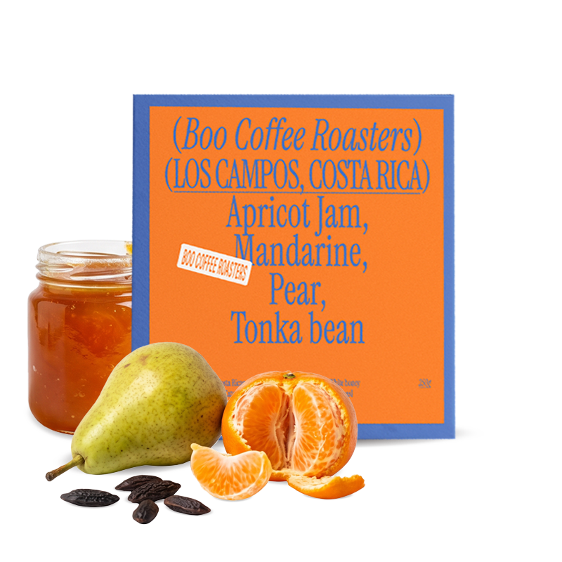 Specialty coffee Boo! Costa Rica LOS CAMPOS - seasonal espresso