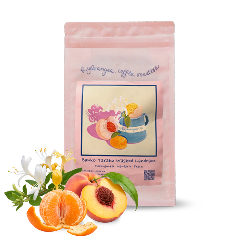 Specialty coffee Hydrangea Coffee Roasters Ethiopia BANKO TARATU