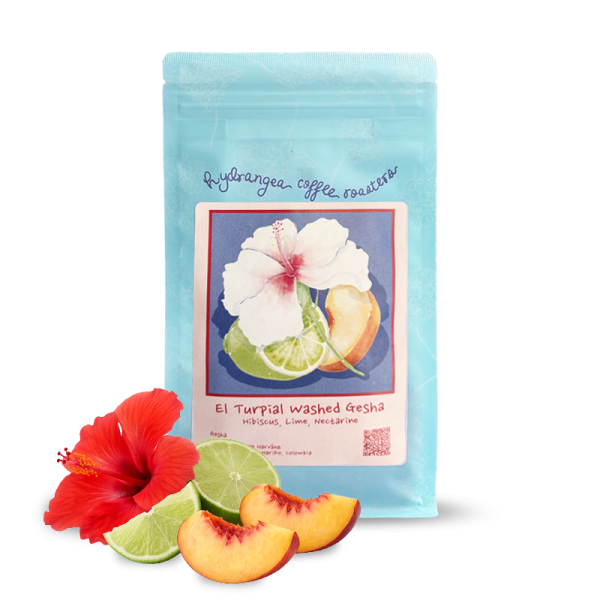 Specialty coffee Hydrangea Coffee Roasters Colombia EL TURPIAL - Gesha - 114 g