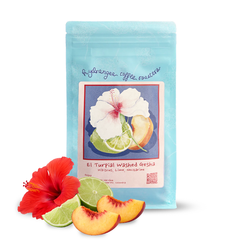 Specialty coffee Hydrangea Coffee Roasters Colombia EL TURPIAL - Gesha - 114 g