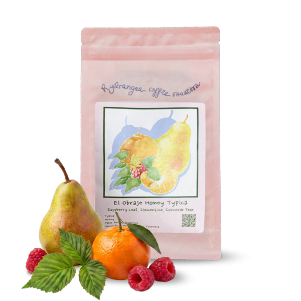 Specialty coffee Hydrangea Coffee Roasters Colombia HACIENDA EL OBRAJE