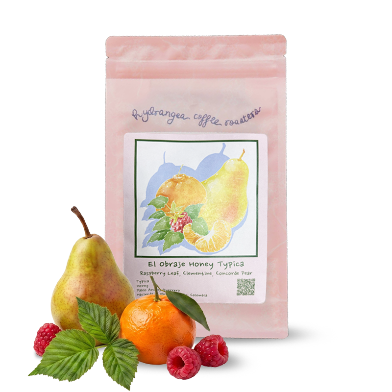 Specialty coffee Hydrangea Coffee Roasters Colombia HACIENDA EL OBRAJE