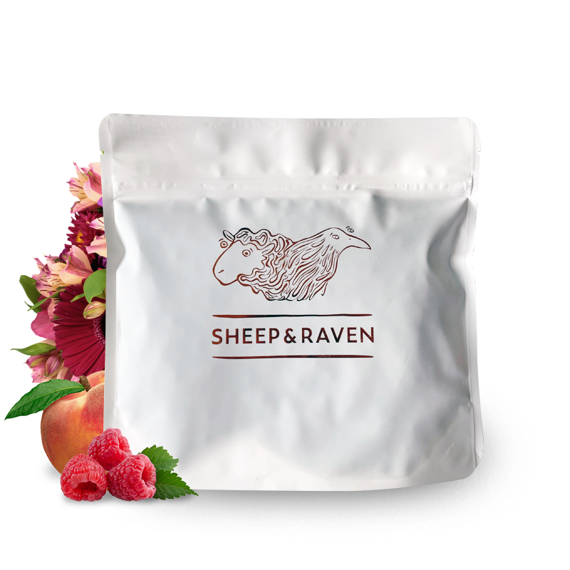 Specialty coffee Sheep & Raven Kenya NYERI