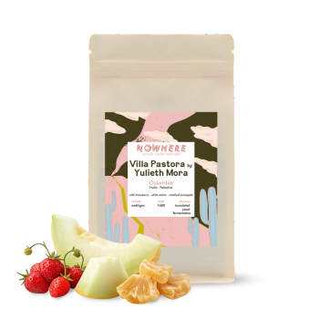 Colombia VILLA PASTORA - Nowhere Future Coffee Roasters