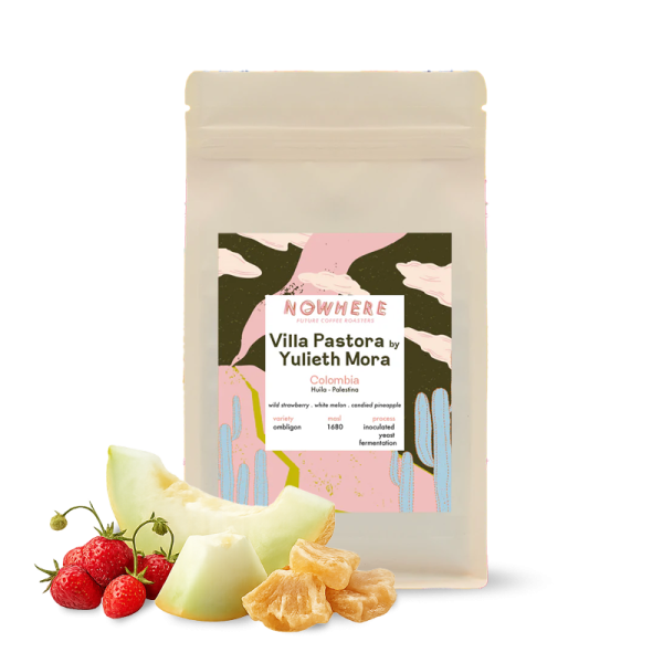 Specialty coffee Nowhere Future Coffee Roasters Colombia VILLA PASTORA