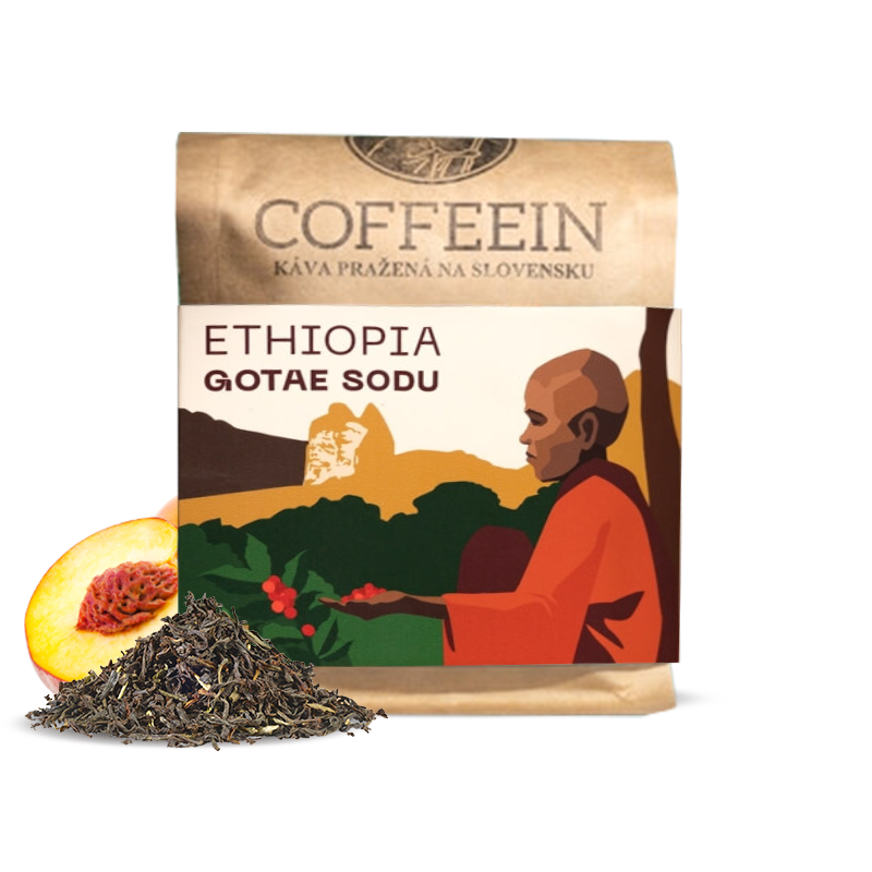 Specialty coffee Coffeein Ethiopia GOTAE SODU