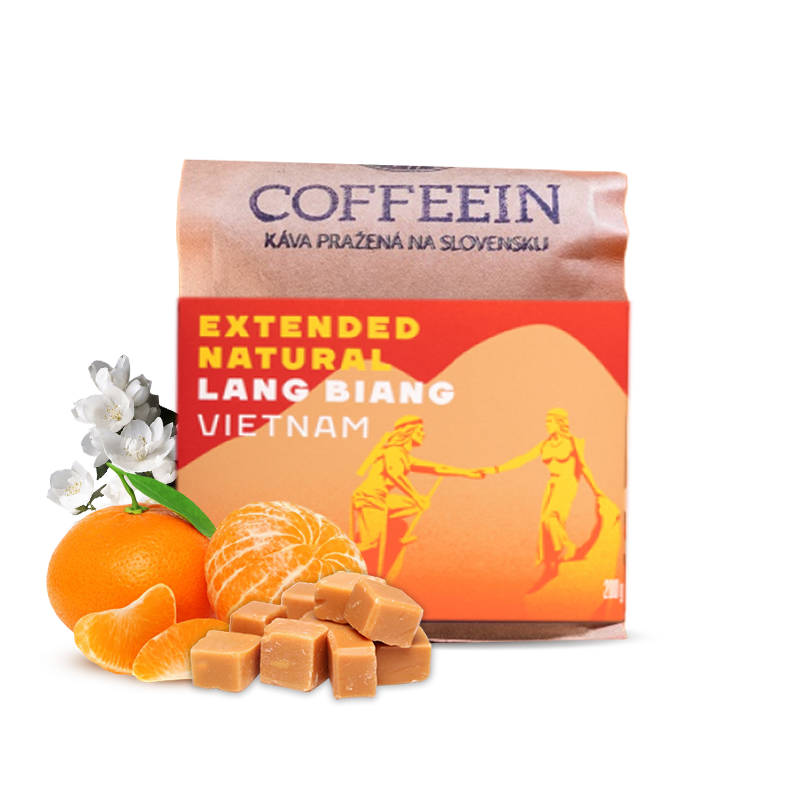 Specialty coffee Coffeein Vietnam LANG BIANG - extended natural