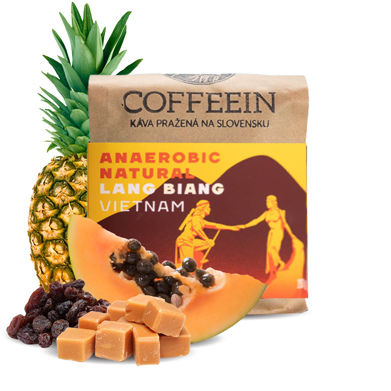 Specialty coffee Coffeein Vietnam LANG BIANG - anaerobic natural